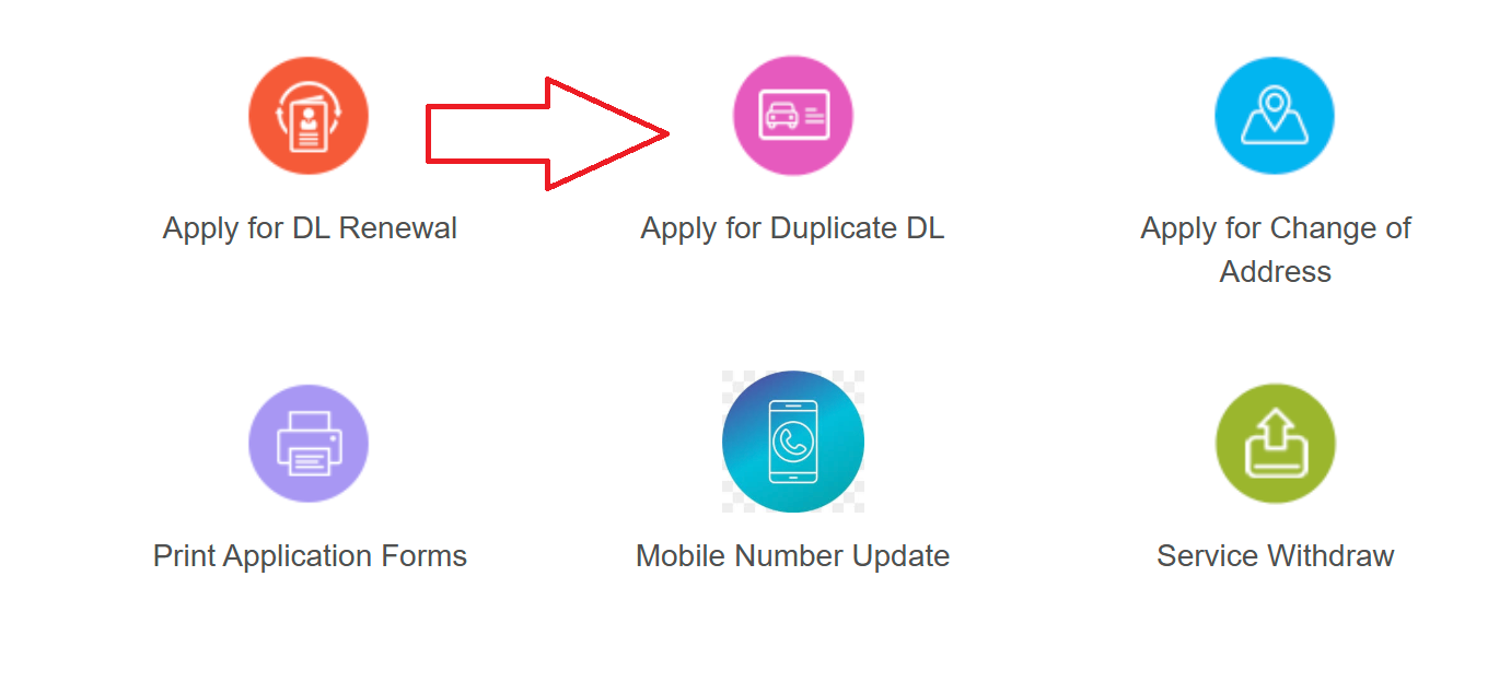 Duplicate DL Application
